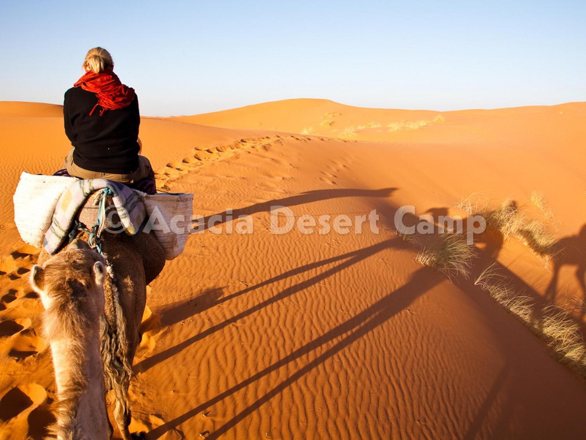 Acacia Desert Camp Merzouga Exterior foto