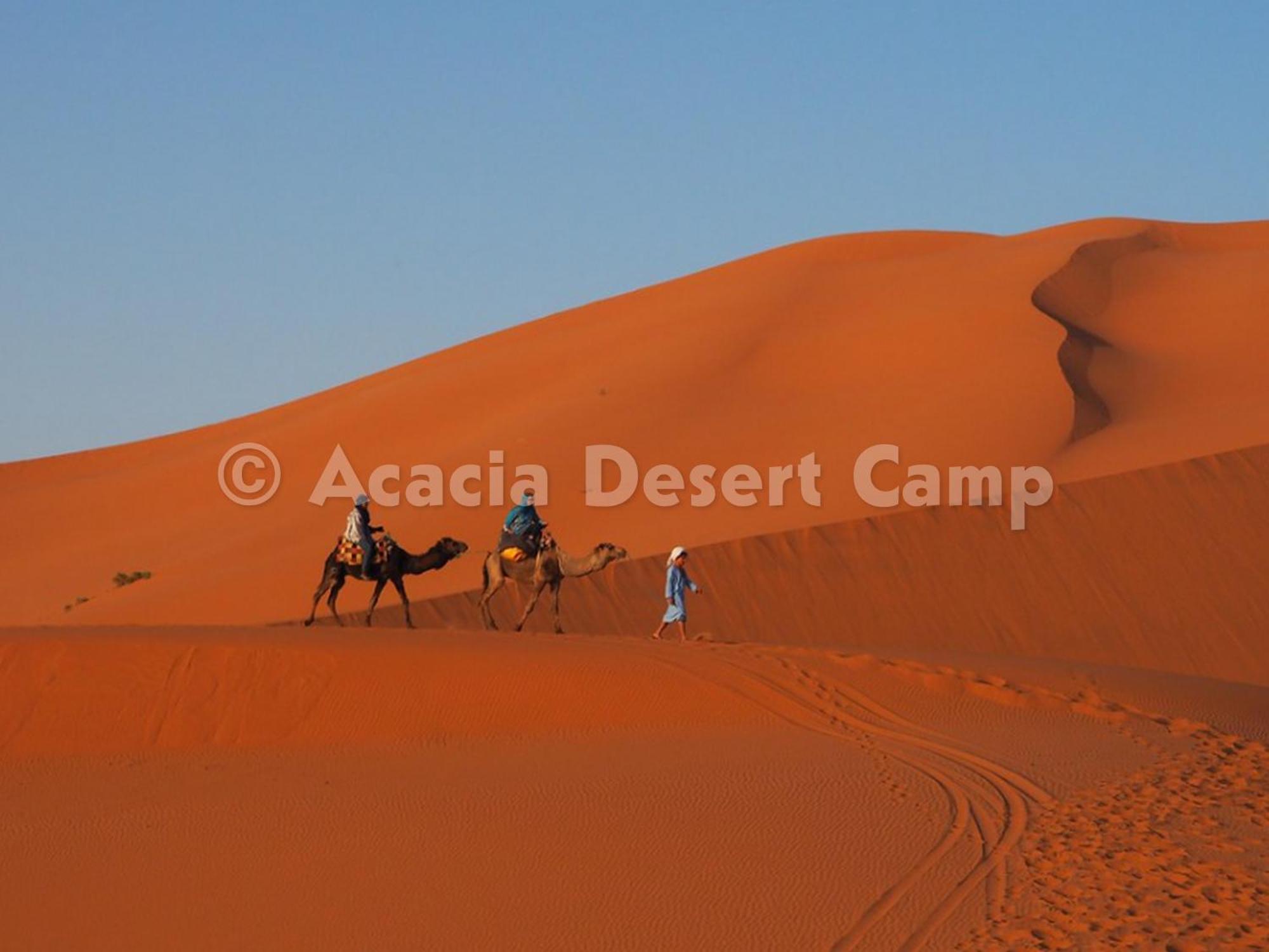 Acacia Desert Camp Merzouga Exterior foto